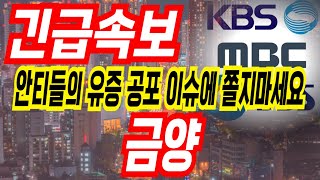 [금양 주가전망] 쫄지마세요 제발