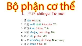 BỘ PHẬN CƠ THỂ | TỪ THƯỜNG DÙNG TRONG GIAO TIẾP TIẾNG TRUNG