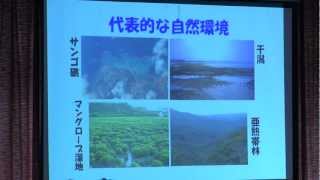 沖縄大問題シンポ　STOP！ 高江・辺野古・泡瀬・大嶺①基調講演