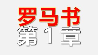 一次看完罗马书第1章在说什么：刨析异教