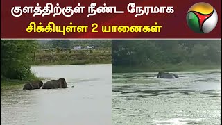 குளத்திற்குள் நீண்ட நேரமாக சிக்கியுள்ள 2 யானைகள்