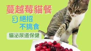 貓鮮食加蔓越莓預防泌尿道感染how to feed cranberry for cats【毛掌村爽爽過】