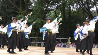 東京学生”生っ粋”＠2016　原宿スーパーよさこい