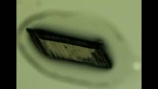 Shape-Memory and Self-Healing Effects in Mechanosalient Molecular Crystals - SI Video 4