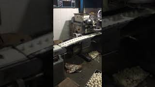 Kachori Making Machine