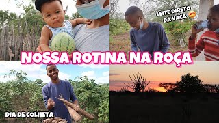 VLOGÃO : NOSSA ROTINA NA ROÇA, TOMEI LEITE DIRETO DA VACA + NOITE DE PIZZA PRA FAMÍLIA