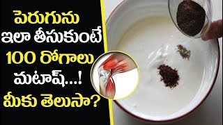 మీరు పెరుగు తీసుకుంటారా? | Curd Health Benefits-Telugu Health Tips-Aarogyasutra