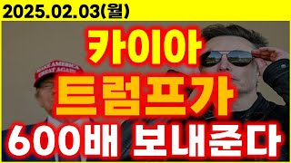 카이아, 트럼프가 600배 보내준다!!!!