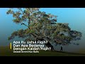 Apa itu ushul fiqih? dan apa bedanya dengan kaidah fiqih? - Ustadz Ammi Nur Baits