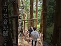 呼ばれないと行けない⁉次元が変わる究極のパワースポット！玉置神社