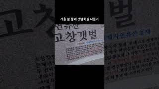 세계자연유산 고창갯벌 / 2023.1.22 겨울 봄과 설날  아침나들이 즐거워요#금동팜 #진돗개부부 #금동복실 #진돗개 #금동이