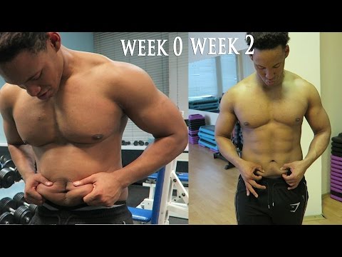 How to Lose Stubborn Belly Fat in 2 Weeks | Student Shredding 2.6 How to Lose Stubborn Belly Fat in 2 Weeks | Student Shredding 2.6