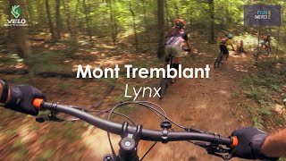 Mont Tremblant - Lynx - July 2020 (4K60)