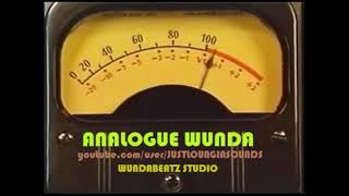 ANALOGUE WUNDA - \