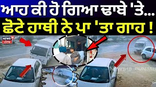 Jagraon Accident News | ਆਹ ਕੀ ਹੋ ਗਿਆ ਢਾਬੇ 'ਤੇ...ਛੋਟੇ ਹਾਥੀ ਨੇ ਪਾ 'ਤਾ ਗਾਹ! Today Punjabi News |N18V