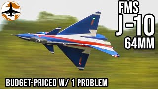 This Inexpensive RC Jet Has 1 Major Issue - FMS J-10 64mm Review