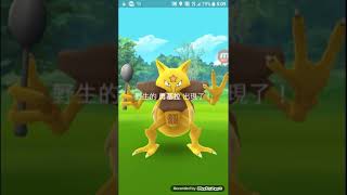 Pokemon go 11捕捉一隻勇基拉 拿它打道館（當然失敗囉）