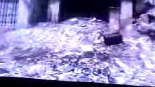 cod4 crossfire elevator and secret room glitch xbox 360