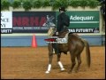 inwhizable senorita 2011 nrha futurity