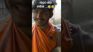 ମାଇପ ଛଡ଼ା କାଳିଆ 😂🤣😂ll #trendingvideo #viralvideo #odiavideo #statusvideo #comedyshorts