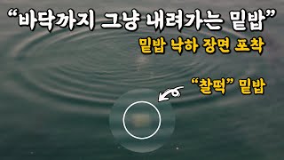 그대로 뭉쳐서 내려가는 밑밥 [박과장TV]