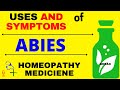 Abies Canadensis homeopathy medicine its symptoms and uses | Homeopathy Treatment