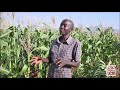 Dziko la Mkaka ndi Uchi - 26 August 2021