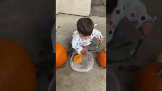 Cleaning pumpkins toddler Montessori activity #shorts