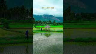 Location :📌Kudilidam, Kollengode, Palakkad #palakkad #kerala #monsoon #keralatourism