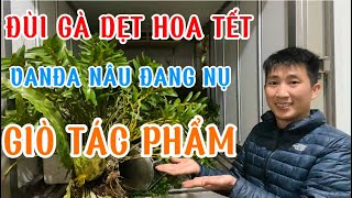 23/12 E TRƯỜNG BÁN 1 XE LAN RỪNG HOÀ BÌNH . GIÁ RẺ . Lh 0965224337 || PHONG LAN RỪNG