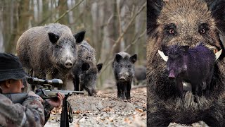 How Mississippi Hunters Control the Wild Boar Threat | Wild Boar Hunting