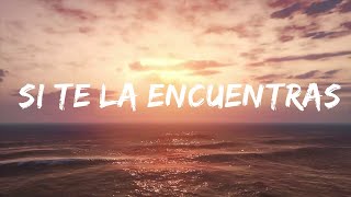 Feid - Si Te La Encuentras Por Ahí (Letra/Lyrics)
