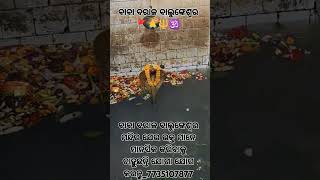 ବାବା ବରାଳ ବାଲୁଙ୍କେଶ୍ୱର ମନ୍ଦିର 🚩🙏🔱🕉️ #odia #odiasong #odiabhajan #odiamusic #tranding #viralvideo