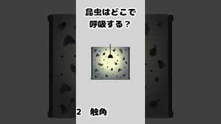 【IQ向上】昆虫クイズで脳を鍛える！【第20弾】