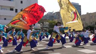 @２０２３年１０月２２日＠ど～んと Coco de 踊らん会（どーんとここでおどらんかい ）@第８回横浜よさこい祭り良い世さ来い@象の鼻パーク波止場メイン会場@12:15