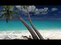 Michael e - Palm Trees     Vloppers Bride *k~kat chill café*