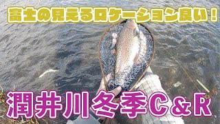 【再アップ】冬に渓流釣りができるなんて！潤井川冬季C\u0026R に様子を見にいきました【フライフィッシング 】