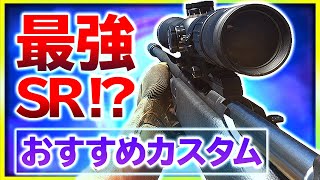 【WARZONE】今、SR使うならこの武器!? 新武器『SP-R 208』が強すぎる！カスタム紹介【ぐっぴー / Rush Gaming 】