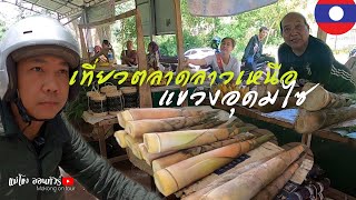 ตลาดข้างทางเมืองหลา แขวงอุดมไซ สปป.ลาว อาหารป่าธรรมชาติ พอมีให้กิน