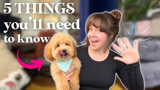 The First 5 Things to Teach a New Puppy Their First Week Home