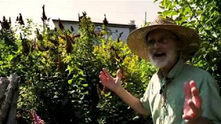Funky Portlandia Ecovillage is Giant Rainwater Sponge!