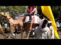 elephants in sanjhauli market rohtas