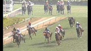 Gudur Narayan Reddy Horse SONIC wins The Tribute Plate