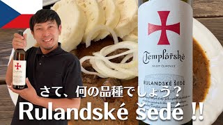 【チェコ 白ワイン】プラハ城観光→ビールランチ→ワインで締め、最高の1日！ ゆきおとワイン487「Templářské sklepy Čejkovice Rulandské šedé」