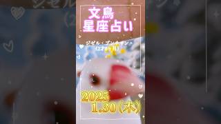 2025.1.30文鳥星座占い🔮【毎朝配信】