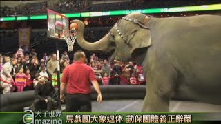 馬戲團大象退休 動保團體義正辭嚴｜大千世界｜Ringling Brothers｜馬戲團｜大象｜PETA｜國際善待動物組織｜動物保護