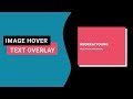 Pure CSS Animated Text Overlay On Hover | CSS Image Hover Effects
