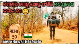 ଚମତ୍କାର ଖୋଜୁ ଖୋଜୁ ପଶିଲି ଜଙ୍ଗଲ ରେ📍M P  🇮🇳 Without Money All India Traveller #diputravelboy