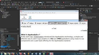 Delphi 024 RichEdit / 04 Action Tool Bar