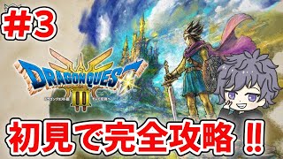 【難易度MAX:いばらの道だぜ】完全攻略するまで終われません配信！！5日目【ドラゴンクエスト３】